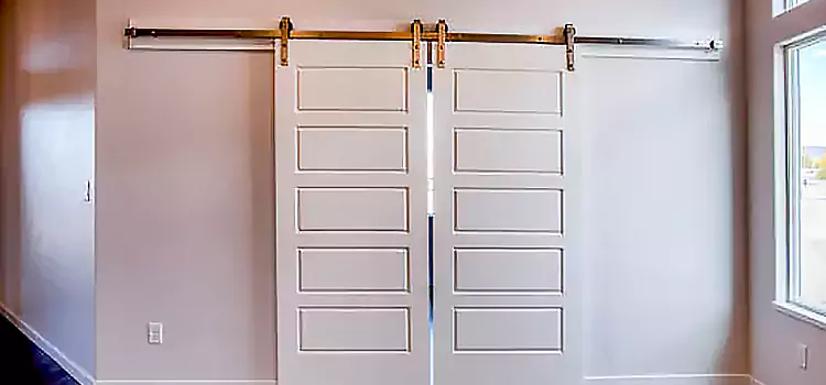Glass Barn Door with Installation Hardware Kit Emporia