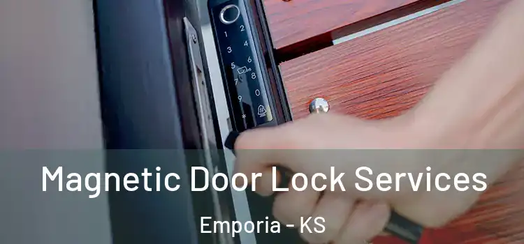 Magnetic Door Lock Services Emporia - KS